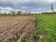 Landbouwgrond te koop in Knesselare