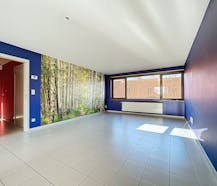 Gezellig dakappartement te huur in Nieuwmoer!