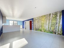  Gezellig dakappartement te huur in Nieuwmoer!