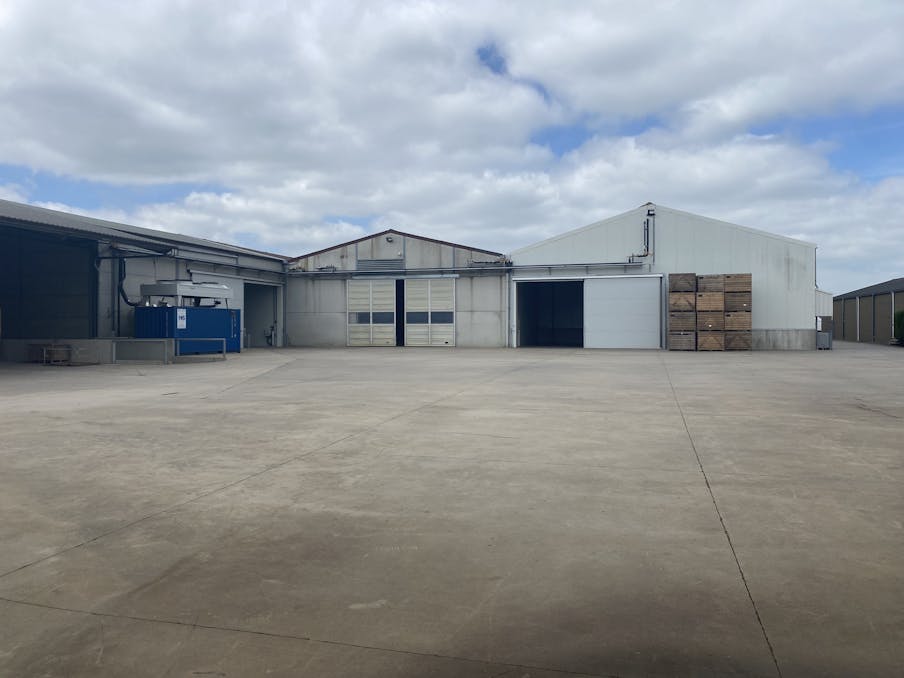 Verschillende frigo loodsen te huur per kist in Lo