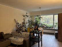 Opbrengsteigendom met 2 appartementen en garage 