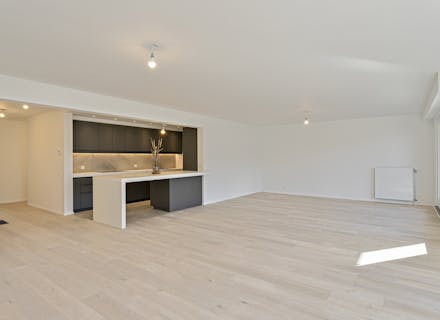 Gerenoveerd appartement te koop te Antwerpen