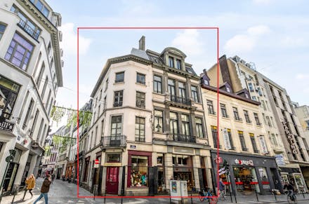 Immeuble de rapport à vendre Bruxelles (Brussel)