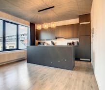 Appartement met 2 slaapkamers te huur in Borgerhout!